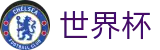 FIFA世界杯官方入口_104场美加墨世界杯完整赛程表